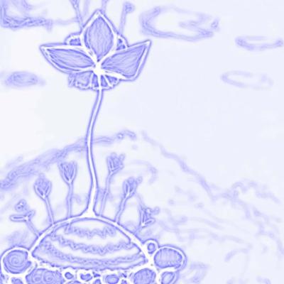 Na Kamniah