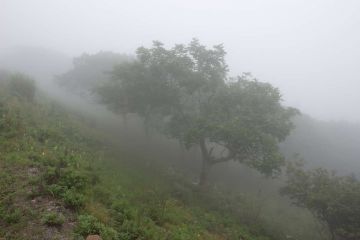 IMG 2546