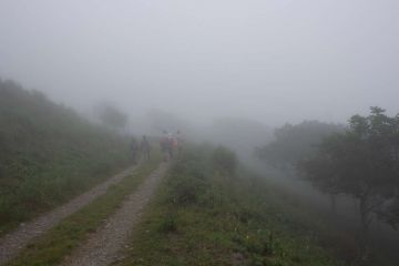 IMG 2549