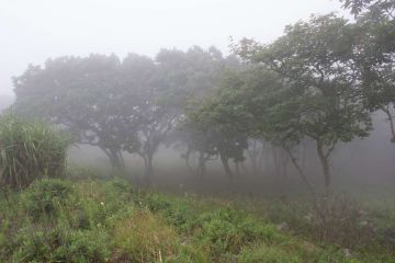 IMG 2550