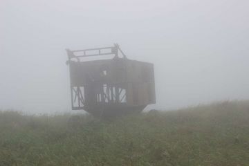 IMG 2584