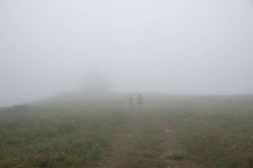 IMG 2585