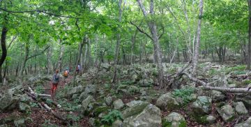 IMG 3066 Panorama