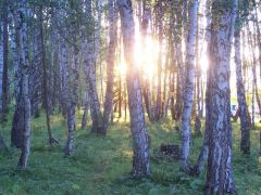Такие чудесные места по дороге в Замульту
