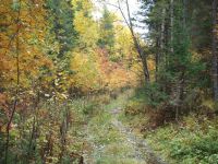image001