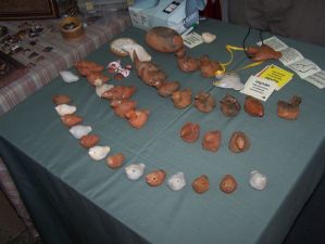 foto_033