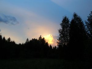 DSC05858___
