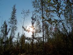 fbrusnika_022