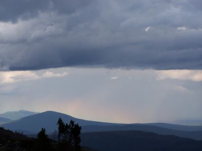 102_9531