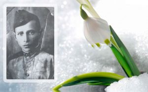 Davidov podsnegnik