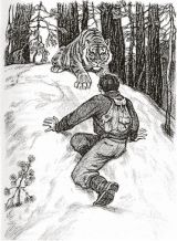 chelovek i tigr