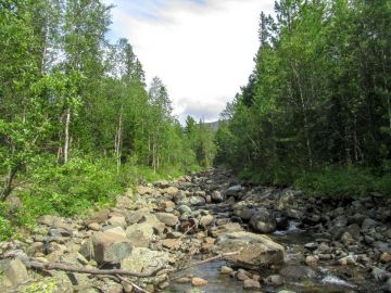 IMG 0570