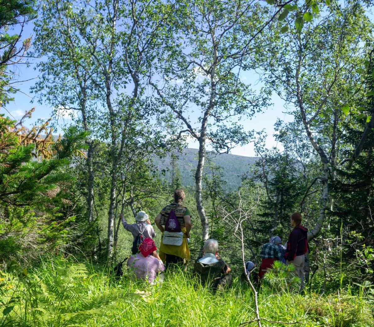 IMG 0769 pan